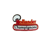HOLLANDER