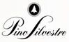 Pino Silvestre