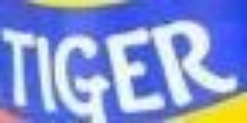 Εικόνα για τον κατασκευαστή TIGER