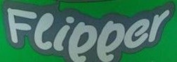 Εικόνα για τον κατασκευαστή Flipper