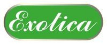 Εικόνα για τον κατασκευαστή Exotica