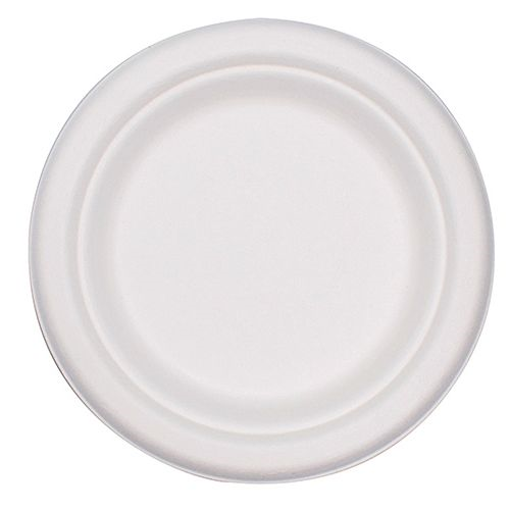 ECOCARE ΒΙΟΔΙΑΣΠΩΜΕΝΑ ΠΙΑΤΑ ΜΕΓΑΛΑ 26cm (10τεμ.)