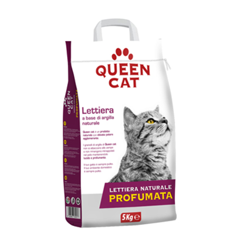 QUEEN CAT ΑΜΜΟΣ ΥΓΙΕΙΝΗΣ ΓΑΤΑΣ 5 kg - (LETTIERA ΑΡΩΜΑΤΙΣΜΕΝΗ)