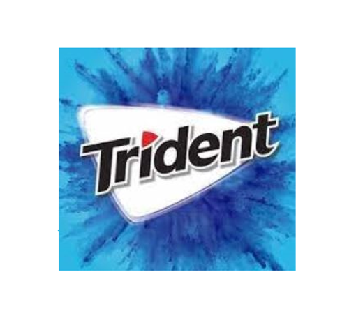 TRIDENT LONG LASTING PEPPERMINT (22g)