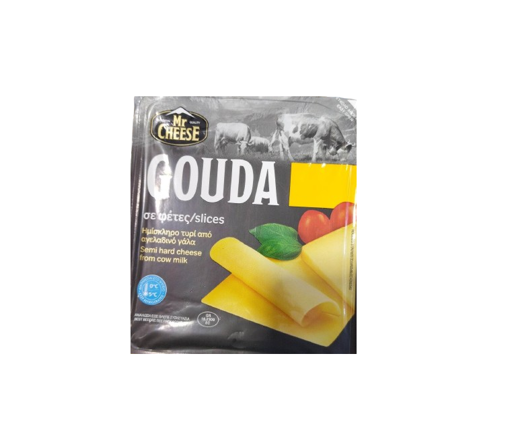 MR. CHEESE GOUDA ΟΛΛΑΝΔΙΑΣ ΣΕ ΦΕΤΕΣ 500g