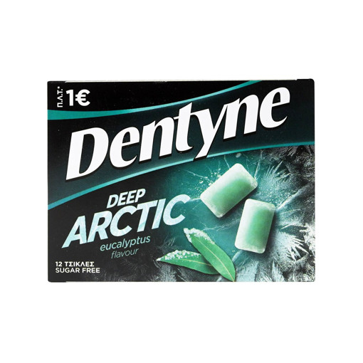 DENTYNE ΤΣΙΚΛΑ ARCTIC ΕΥΚΑΛΥΠΤΟΣ (1€) 16.8gr