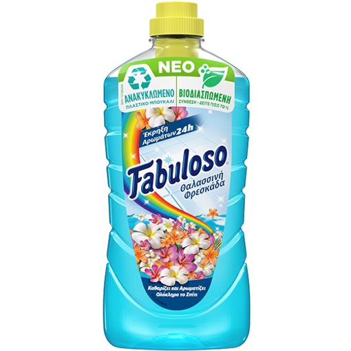 FABULOSO ΚΑΘΑΡΙΣΤΙΚΟ 1lit - (FRESCHEZZA MARINA - ΜΠΛΕ)