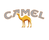 Camel cigarettes