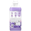 LENOR ΜΑΛΑΚΤΙΚΟ ΡΟΥΧΩΝ 1155ml - (CARESSE LAVENDER) ΛΙΛΑ