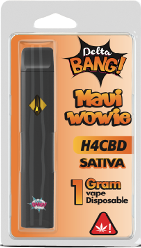 H4-CBD DELTABANG MAUI WOWIE Disposable 1ml