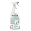 KLINEX SPRAY PURE HYGIENE 750ml - (FLOWER FRESH)