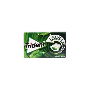 TRIDENT LONG LASTING ΔΥΟΣΜΟΣ (22gr)