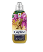 CAJOLINE ΣΥΜΠΗΚΝΩΜΕΝΟ GOLD 644ml