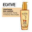 LELVIVE EXTRAORDINARY OIL 100ml