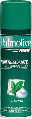 PALMOLIVE ΑΦΡΟΣ ΞΥΡΙΣΜΑΤΟΣ 300ml - (ΠΡΑΣΙΝΟ/ΜΕΝΤΑ)