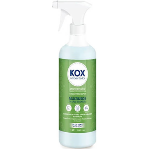 CISNE ΚΟΧ ΑΡΩΜΑΤΙΚΟ ΧΩΡΟΥ 1000ml - (ALOE VERA)