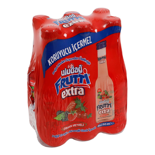 FRUTTI EXTRA 6x250ml (ΦΡΟΥΤΑ ΤΟΥ ΔΑΣΟΥΣ)