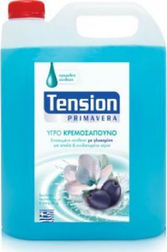 TENSION ΚΡΕΜΟΣΑΠΟΥΝΟ (ΜΠΛΕ) PRIMAVERA 4lit