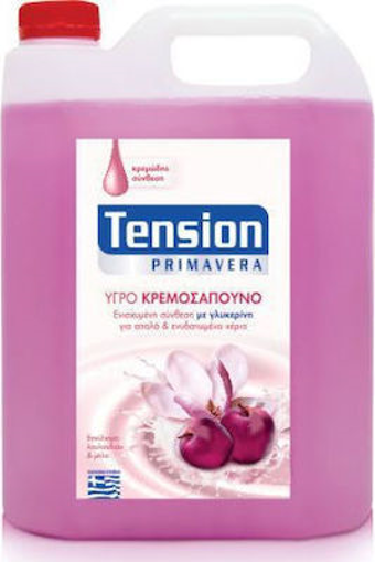 TENSION ΚΡΕΜΟΣΑΠΟΥΝΟ (ΡΟΖ) PRIMAVERA 4lit