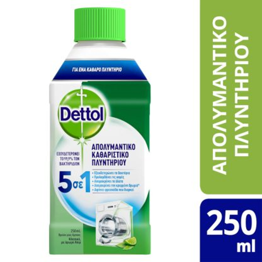 DETTOL ΚΑΘΑΡΙΣΤΙΚΟ ΠΛΥΝΤΗΡΙΟΥ ΡΟΥΧΩΝ 250ml
