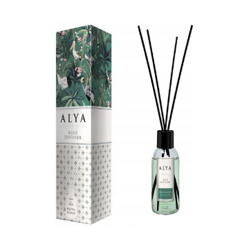 ΑΡΩΜΑΤΙΚΟ ΧΩΡΟΥ STICK ALYA EXOTIC LEAVES 100ml