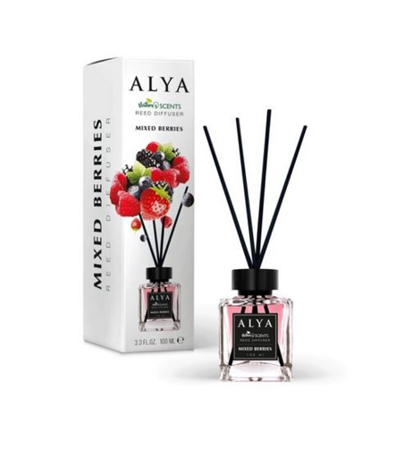 ΑΡΩΜΑΤΙΚΟ ΧΩΡΟΥ STICK ALYA MIXED BERRIES 100ml