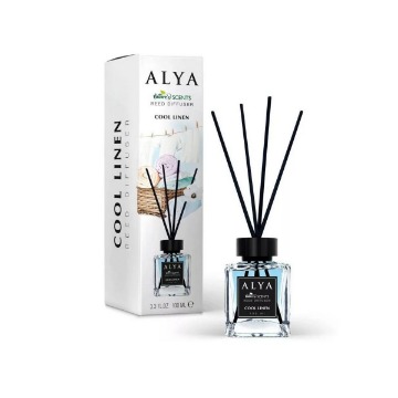 ΑΡΩΜΑΤΙΚΟ ΧΩΡΟΥ STICK ALYA COOL LINEN 100ml