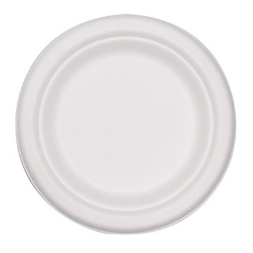 ECOCARE ΒΙΟΔΙΑΣΠΩΜΕΝΑ ΠΙΑΤΑ ΜΙΚΡΑ 18cm - (10τεμ.)