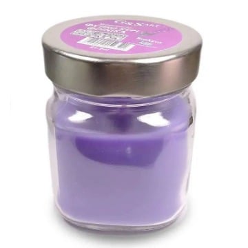 G & S Art Φυτικό Αρωματικό Κερί Φοίνικα Βιολέτα 212ml