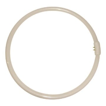 EUROLAMP ΛΑΜΠΑ ΦΘΟΡΙΟΥ ΚΥΚΛΙΚΗ 22W/865 (147-88635) FERRARΑ